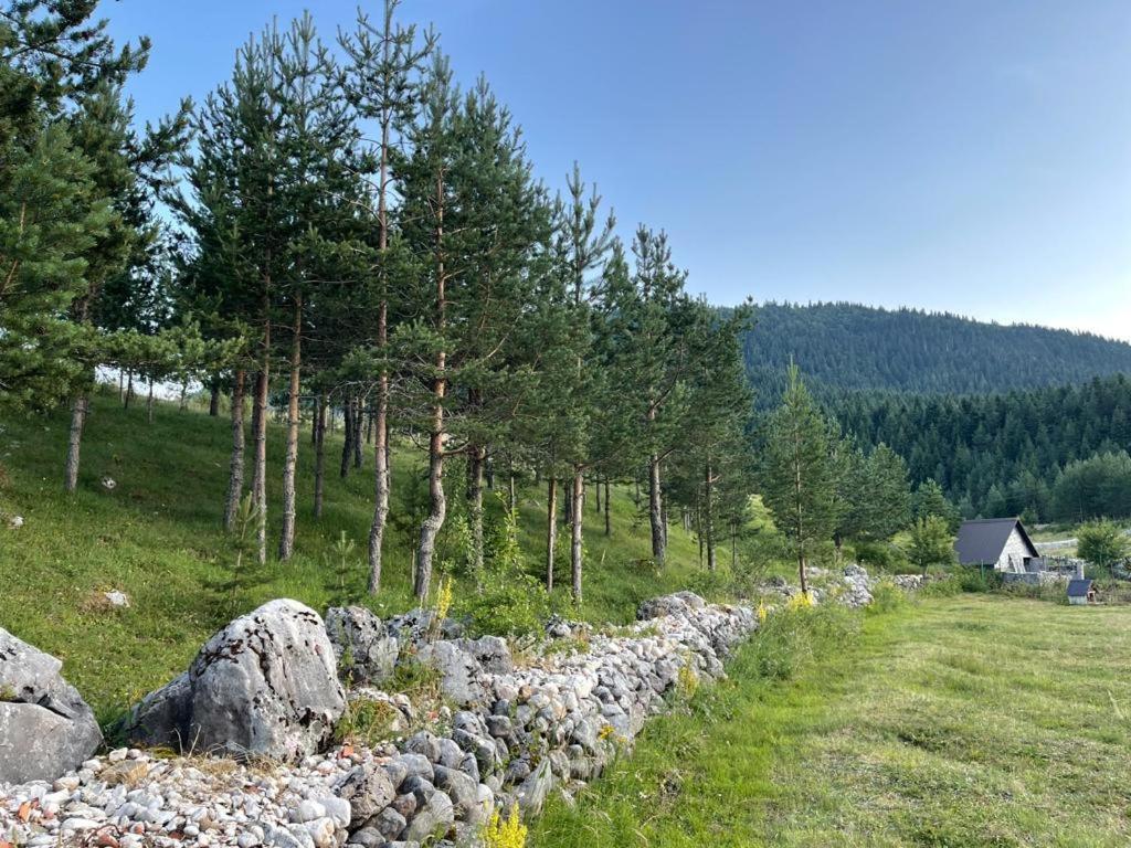 Apartman Bojovic Žabljak Exterior foto